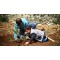 Planter un olivier en Palestine